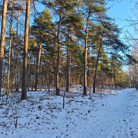 Apartment Manna - Charming Flat In A Historic House