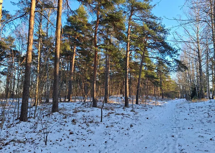 Apartament Manna - Charming Flat In A Historic House