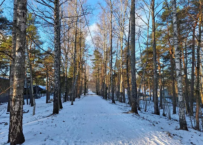 Apartament Manna - Charming Flat In A Historic House